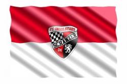 爱游戏官网-拜仁轻松告捷，主场击败不莱梅捧走胜利宝座，拜仁vssv不莱梅