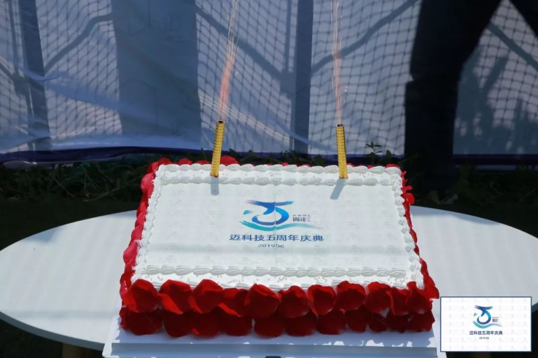 保加利亚国家队披荆斩棘，稳步前行的简单介绍